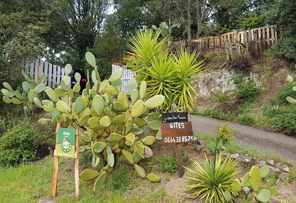 Gites San Austinu Petreto-Bicchisano Экстерьер фото